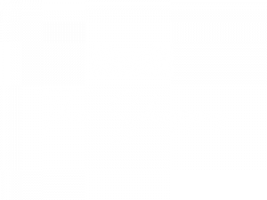 logo-shoppes