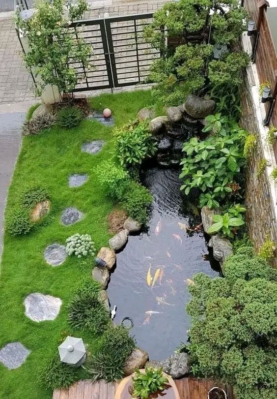 kolam ikan minimalis