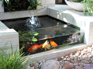 Kolam ikan mini di teras rumah